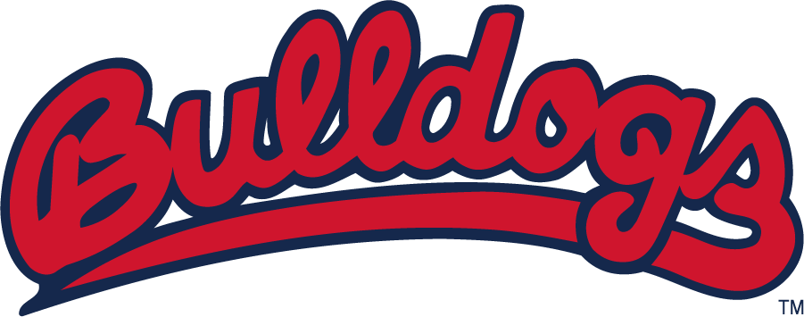 Fresno State Bulldogs 2020-Pres Wordmark Logo v2 iron on transfers for clothing